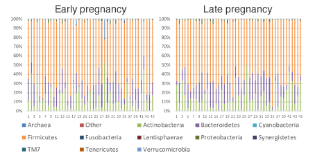 Gut microbiota during pregnancy