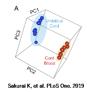 DNA methylation profiles of the umbilical cord and umbilical cord blood (principal component analysis)