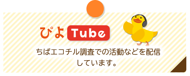 ぴよTube